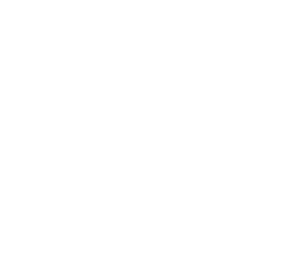 Sea Index Logo