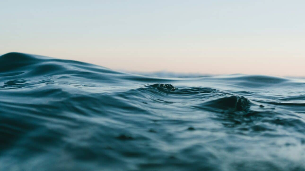 ocean acidification yachting