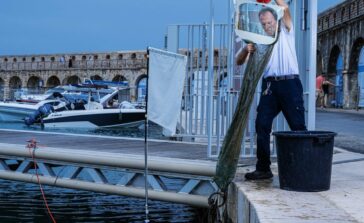 Port Antibes nettoyage